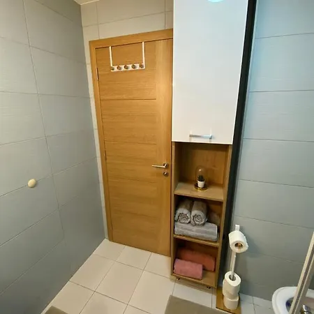 Family 公寓 兹拉蒂博尔